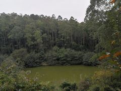 -水濂山森林公园