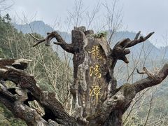 -龙湾潭国家森林公园