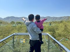 -陶祖圣境风景区