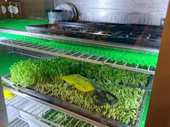 -正能量脆肉鲩火锅