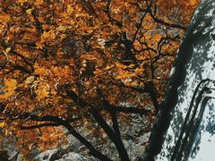 -鹫峰国家森林公园