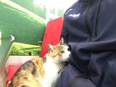 -郭记原生态烤羊腿(长宁路店)