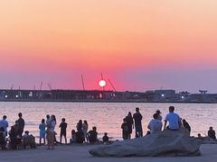 -宝安西湾红树林湿地公园