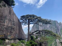 -黄山风景区