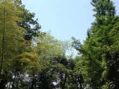 -西湖风景区十里琅珰-五云山