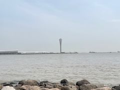 -上海吴淞炮台湾国家湿地公园