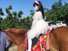 -蓟县沐风庄园精品民宿农家院(梨木台店)