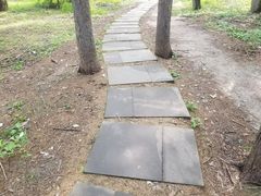 -长春市南湖公园