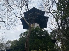 -上海佘山国家森林公园天马山园