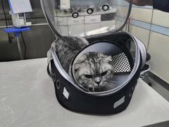 -中农国际动物医院24小时·猫科·骨科·急重症中心