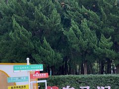-白马涧龙池景区
