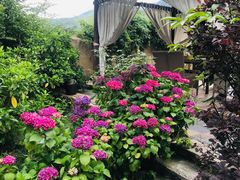 -看见远方·莫干遥远的山民宿