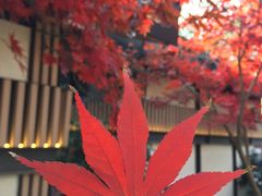 -茶颜悦色(岳麓山顶店)