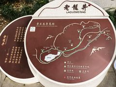 -十八棵（老龙井）御茶园(老龙井店)