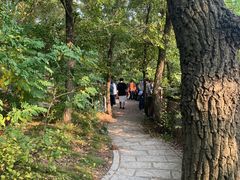 -北马山庄植趣咖啡