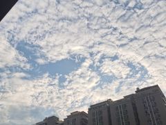 -1点点(清湖地铁店)