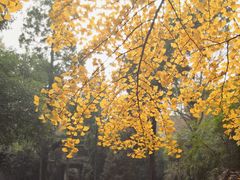 -无锡惠山寺