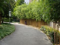 -陈家山荷花公园