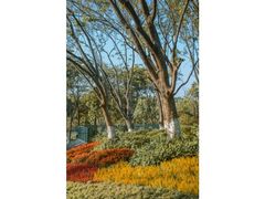 -东莞植物园