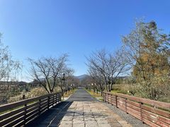 -长田漾湿地公园