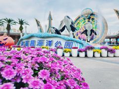 -上海海昌海洋公园