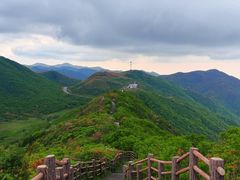 -大围山国家森林公园