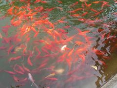 -河北村民俗体验园