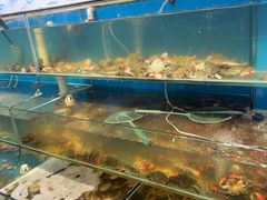 -仙螺岛海鲜自助餐厅(总店)