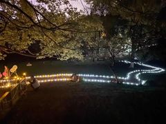 -生态园山庄(森林公园店)