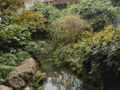 -中国茶叶博物馆(双峰馆区)