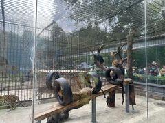 -深圳野生动物园