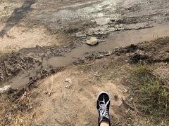 -梦之蓝青奥体育公园体育馆