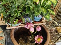 -观盐·盐帮菜(官园桥店)