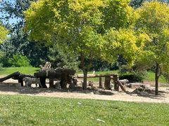 -北京野生动物园