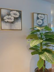 点击看大图 -花隐瑜伽·普拉提·红绳