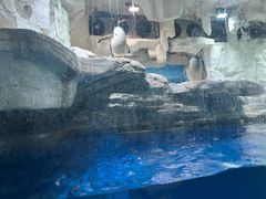 -华夏文旅海洋公园