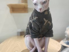 -藏猫猫咖啡主题馆(中央大道店)