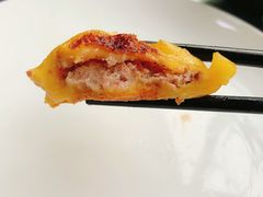 煎东北黄米粘豆包-哈尔滨春饼(朝山街店)