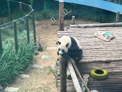 -大连森林动物园