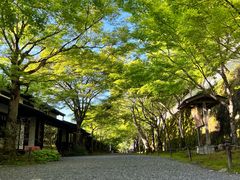 -三千院