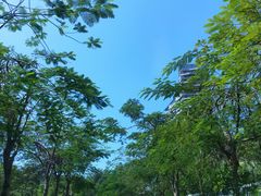 -三亚太阳湾柏悦酒店