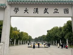-武汉大学-樱园