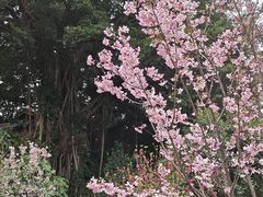-乌山风景区