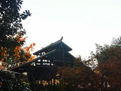 -活水公园