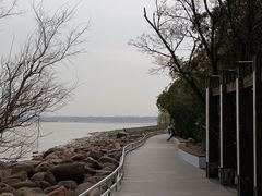 -上海吴淞炮台湾国家湿地公园