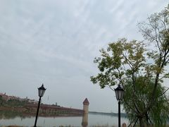 -九龙湖公园