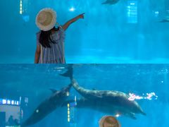 -福州罗源湾海洋世界旅游区