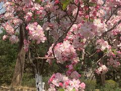 -元大都城垣遗址公园