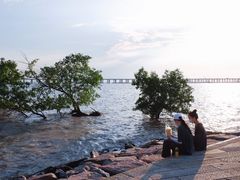 -宝安西湾红树林湿地公园