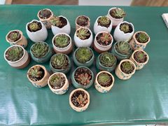 -宁波宝信宝马4S店(江北日湖店)